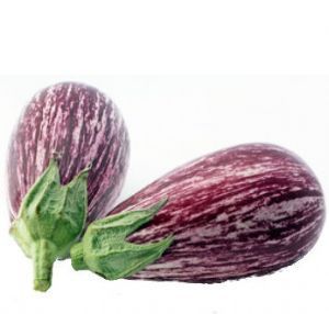 Aubergine 'Zbre'