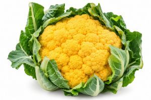 choux fleur couleur (jaune)