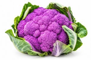 Chou fleur 'Couleur violet' (Taille Moyenne)