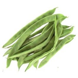 Haricot vert Plat