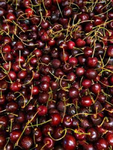 nos cerises