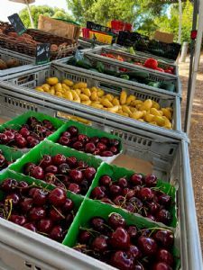 marché